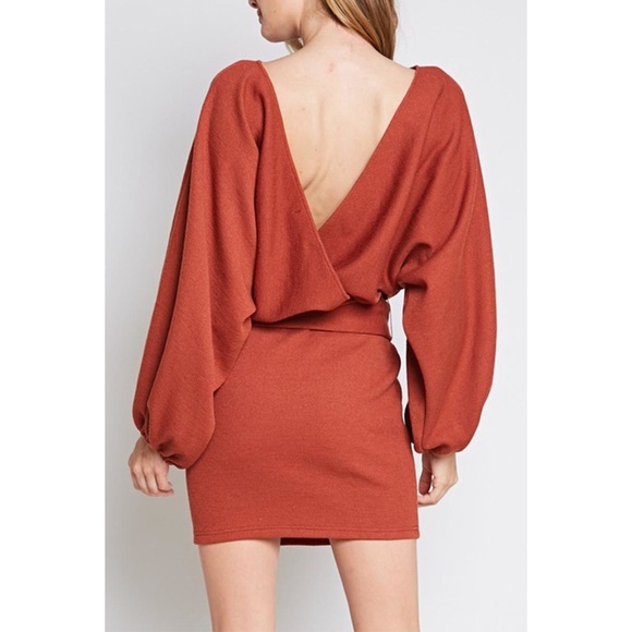 Open Back Tie Long Sleeve Mini Dress Sweater - Picture 2 of 8